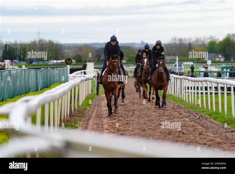 Rachael Blackmore Grand National 2024: Jockey to ride Minella .